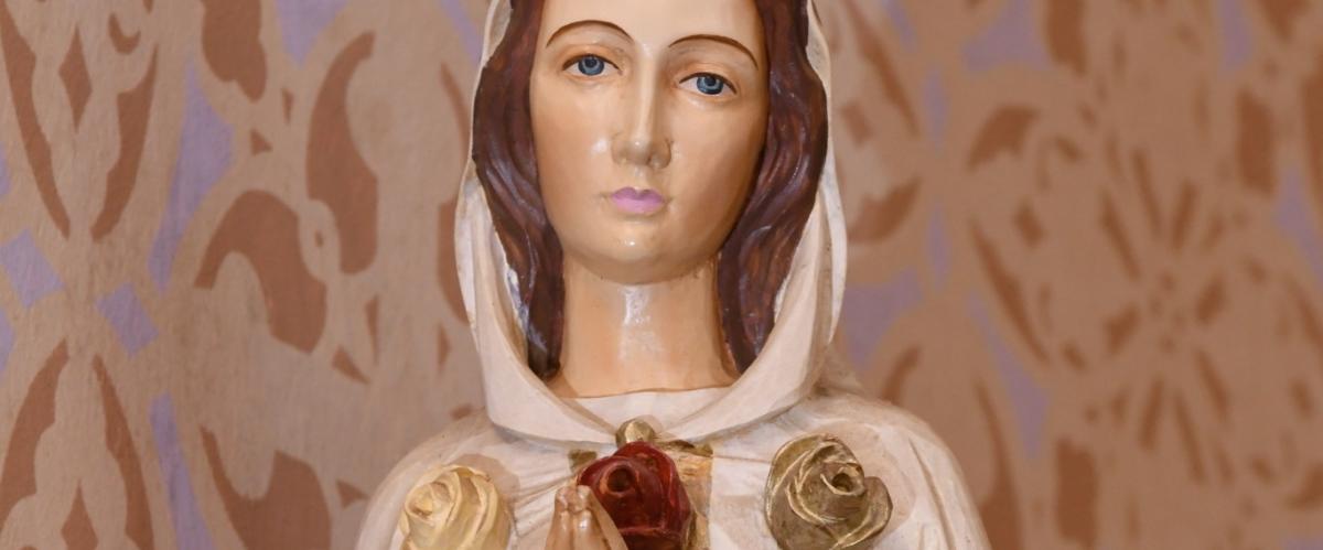 Peregrinação de Nossa Senhora Rosa Mística percorrerá comunidades, instituições e empresas